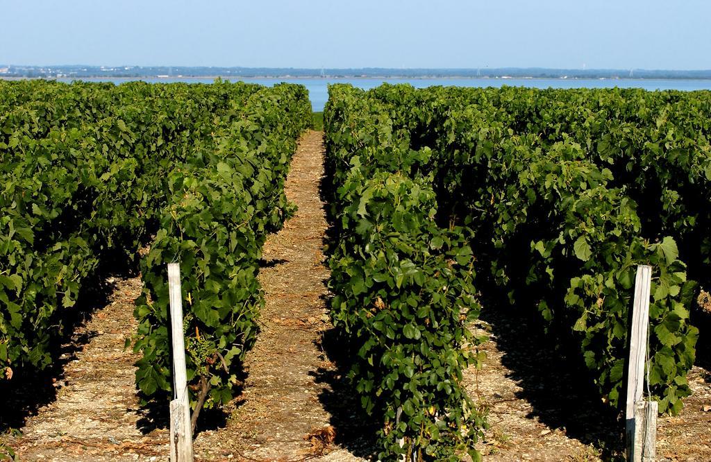 Vvf Soulac-Sur-Mer Bordeaux Medoc Екстер'єр фото